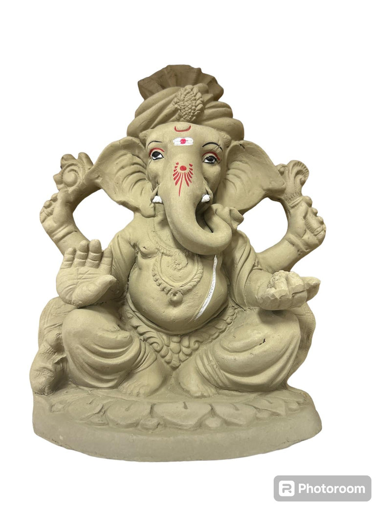 PLAIN  VISARJAN GANESH JI