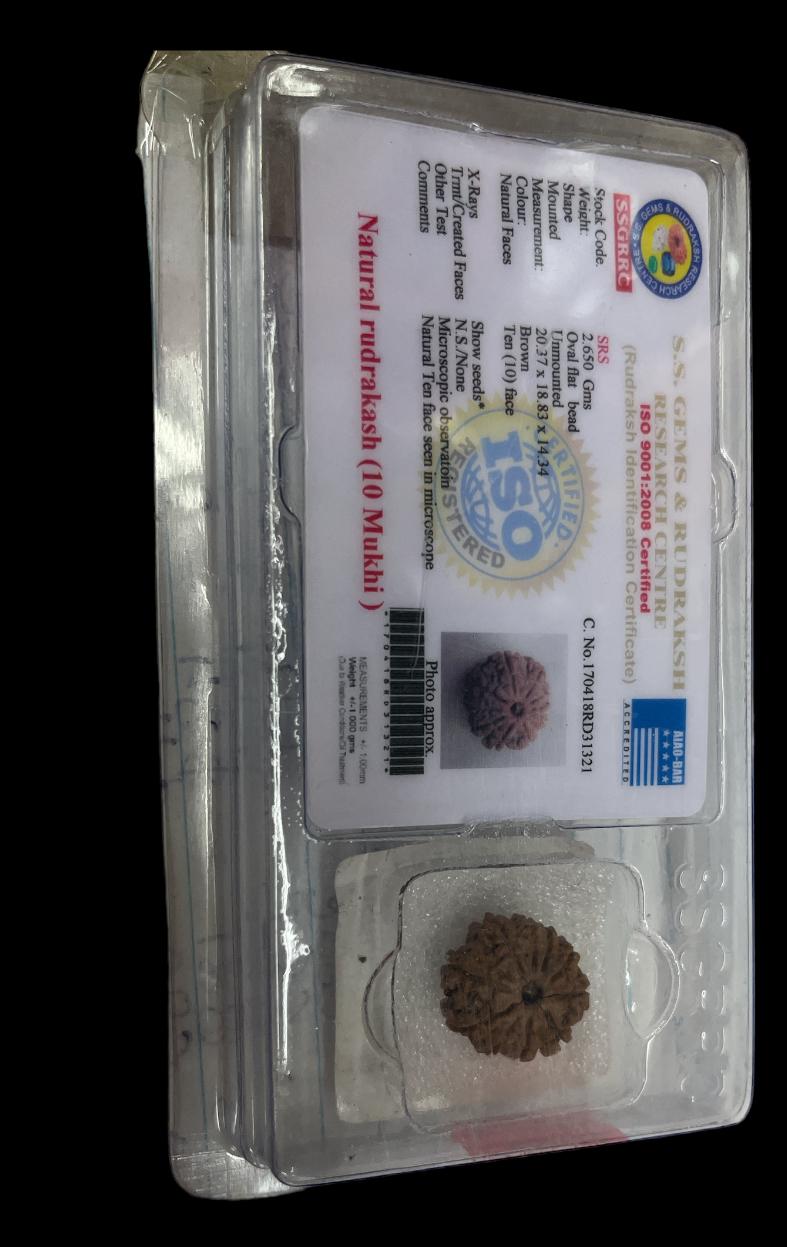 Rudraksha Beeds