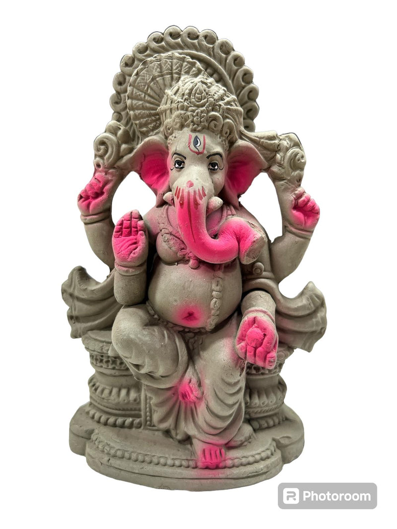 PLAIN -COL- VISRJAN GANESH JI 8