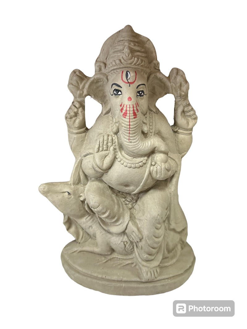 COLRED VISRJAN GANESH JI-6