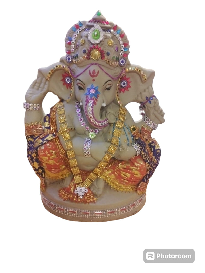 Visrjan Ganesh JI