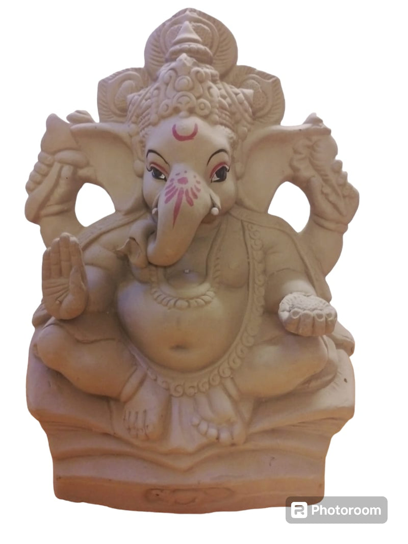 Visrjan Ganesh JI