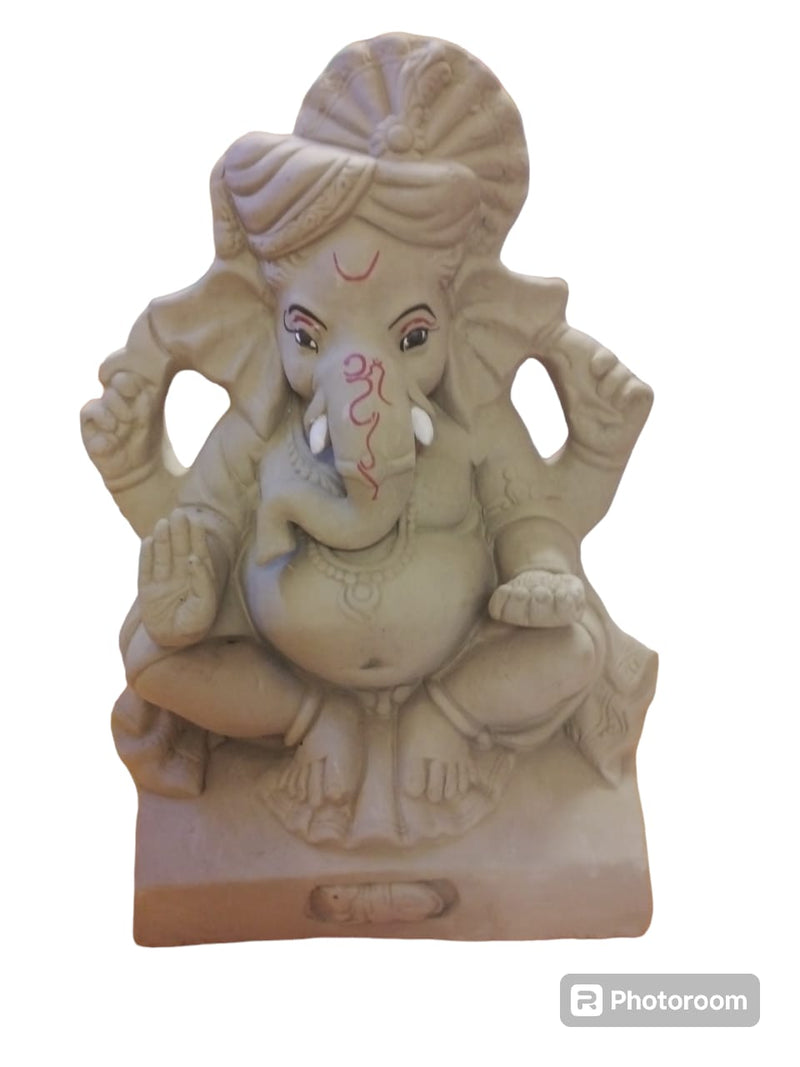 Visrjan Ganesh JI