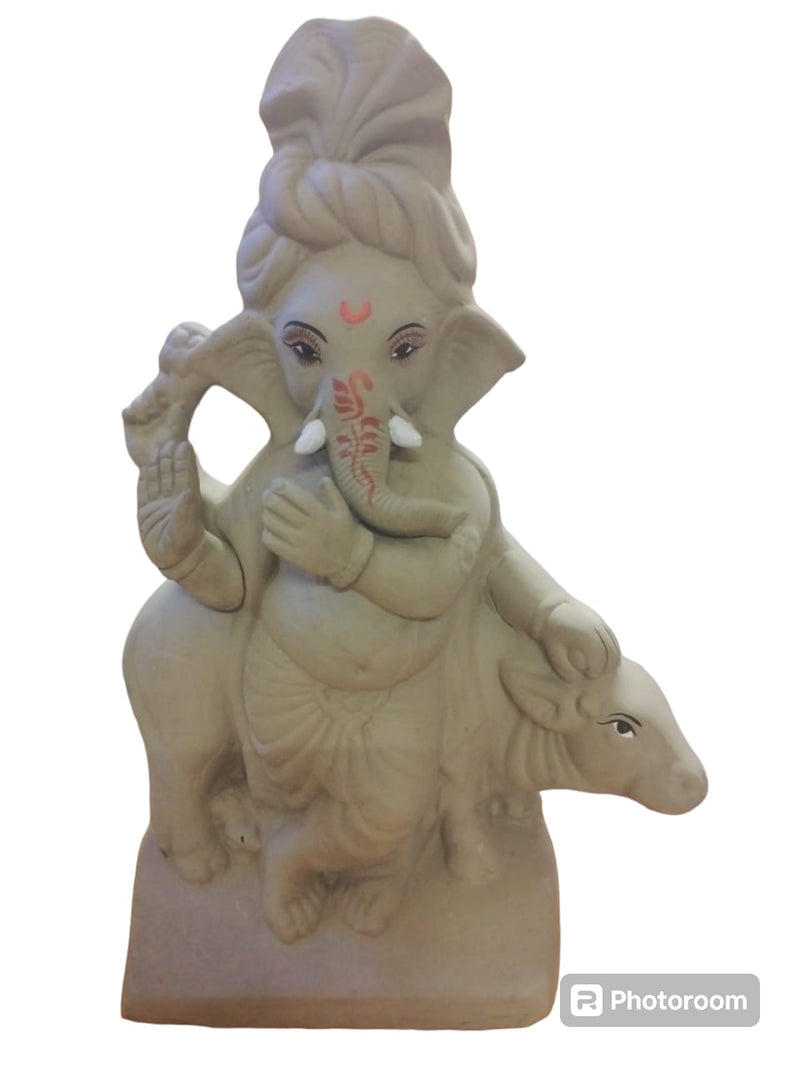 Visrjan Ganesh JI