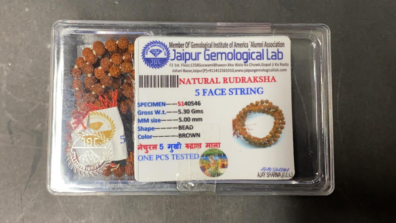 Jaap Mala, 5 Mukhi Rudraksha /  Simran Mala