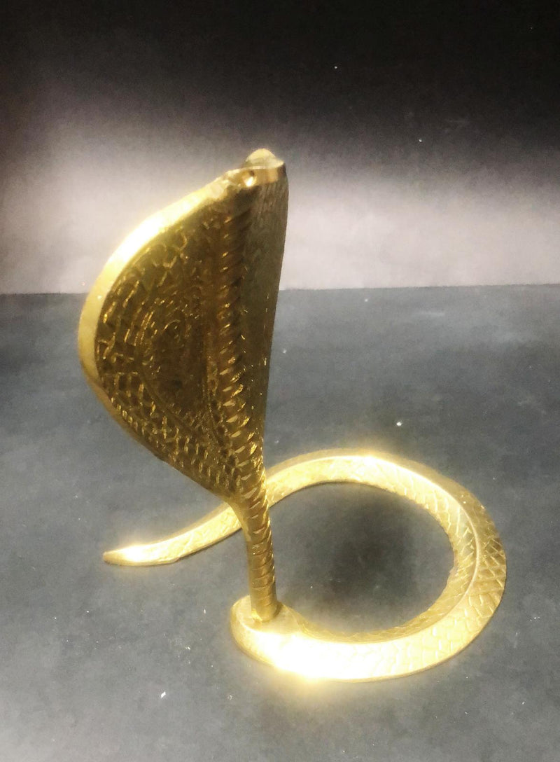 Brass Pooja Snake