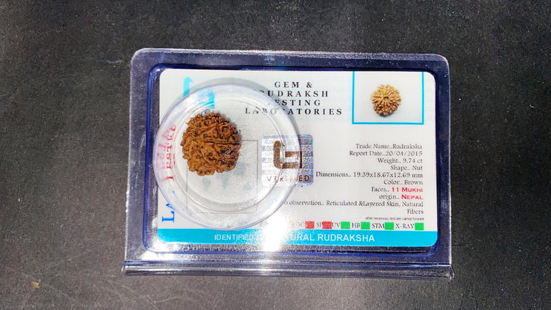 Rudraksha Beeds