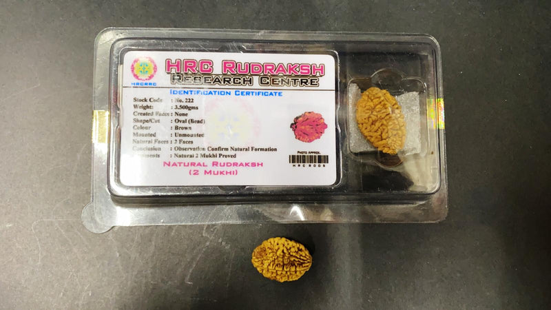 Rudraksha Beeds