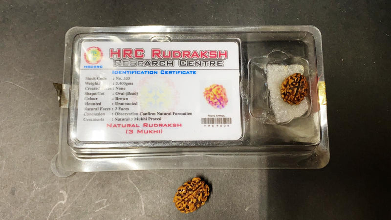 Rudraksha Beeds