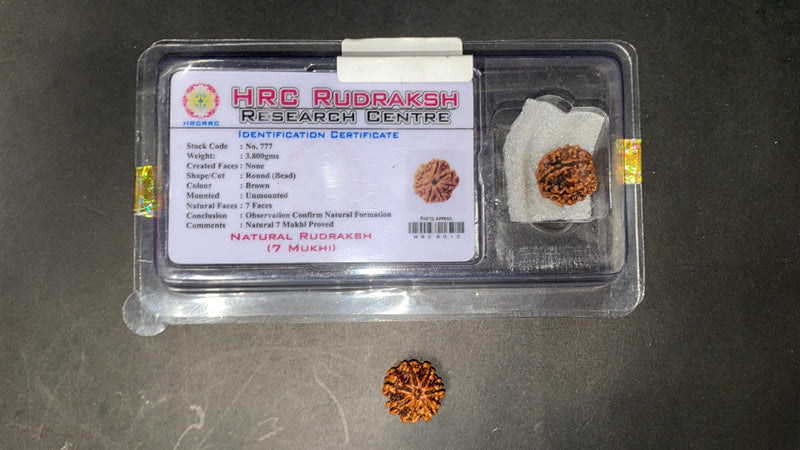 Rudraksha Beeds