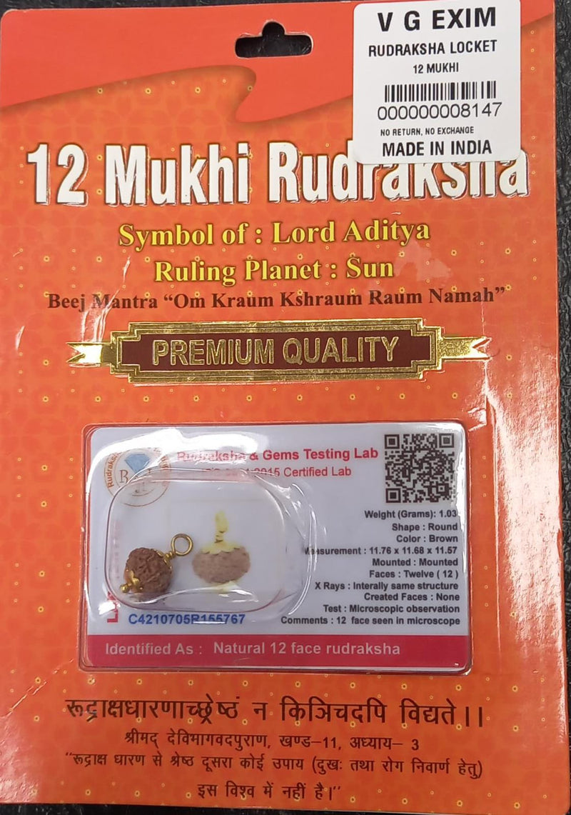 Rudraksha  Pendants