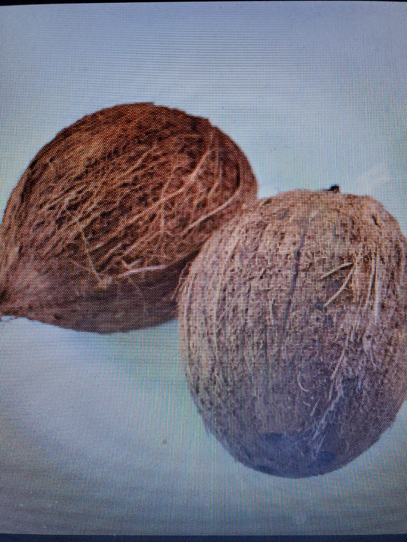 Coconut ( for puja )